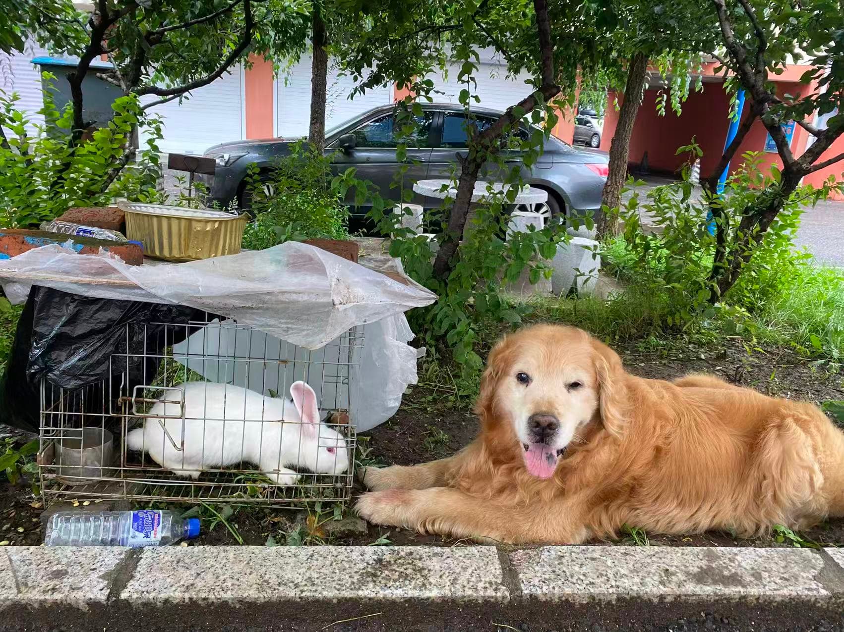 Er Leng with my father